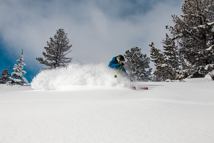 University (Full-Time)