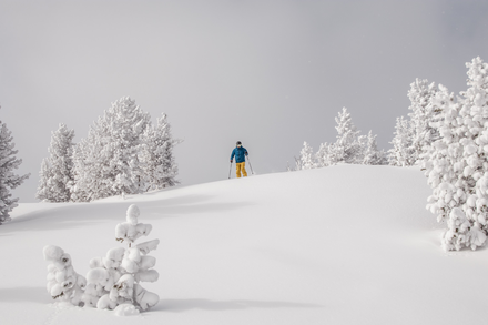 Tickets 1 Day University Student 19-64yrs