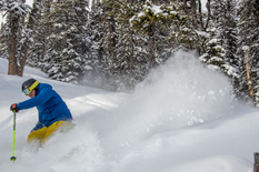 Tickets 1 Day Junior 8 -12