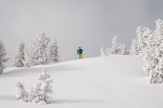 Tickets 1 Day University Student 19-64yrs