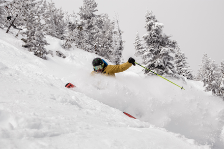 Tickets 1 Day Masters 70yrs+