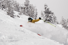 Tickets 1 Day Masters 70yrs+