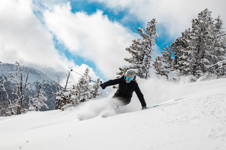 Tickets 1 Day Junior 8 -12