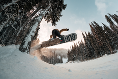 University Student 19 - 64yrs