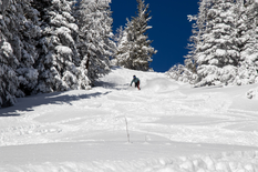 Tickets 1 Day Child 7 & Under