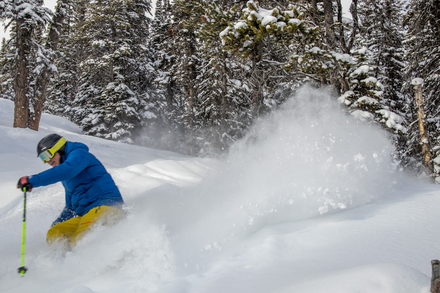 Tickets 1 Day Junior 8 -12